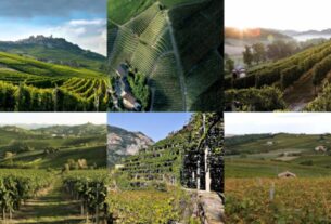 Pijemont je "Regija godine"