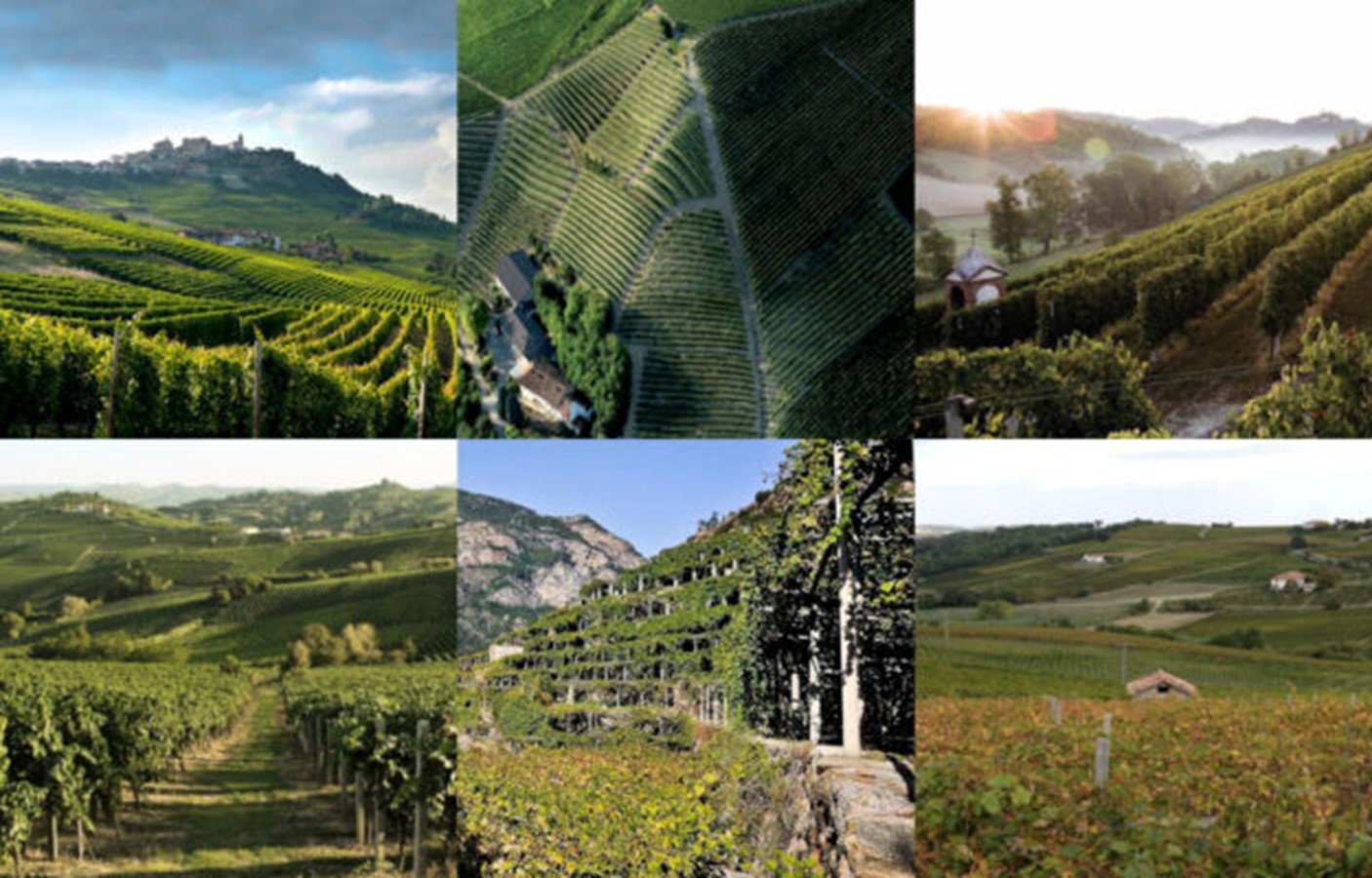 Pijemont je "Regija godine"