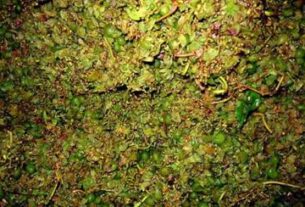 Veliki potencijal nusproizvoda od grožđa