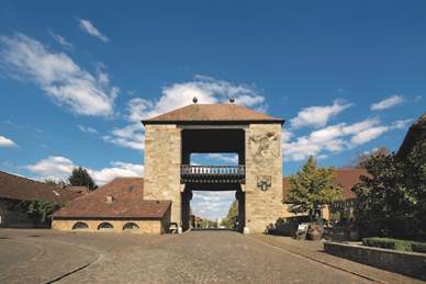 Serija vina Plava riba