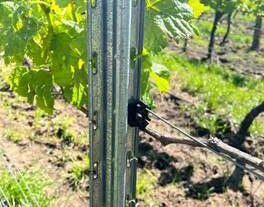 Prednosti naslona Ocloc