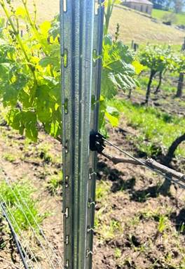 Prednosti naslona Ocloc