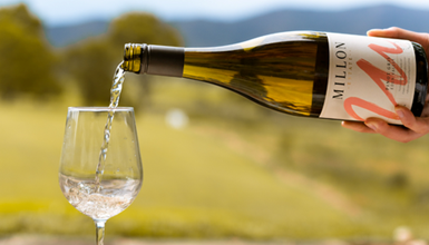 Pet iznenađujućih prednosti ispijanja vina ujutro