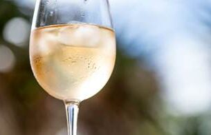 Studija vinskih ćelija