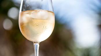 Studija vinskih ćelija