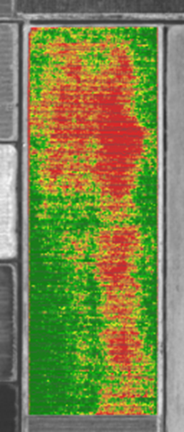 Upravljanja vinogradima u sušnim uslovima