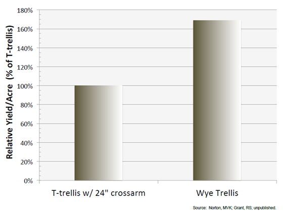 Uzgoj vinskog grožđa