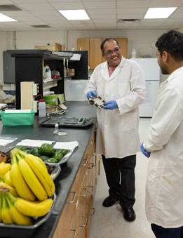 Može li vinova loza pomoći 