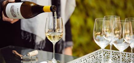 Trebamo li posluživati vina na čaše