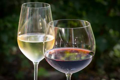 Razlika između crvenog i bijelog vina