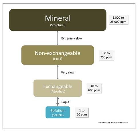 Razumijevanje kalijuma u vinogradu