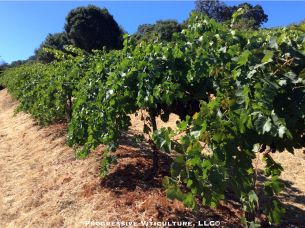 Regulisano deficitarno navodnjavanje