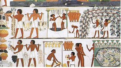 Je li vino umjetnost