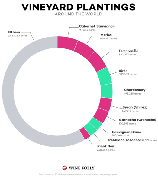 Najpopularnija vina na svijetu