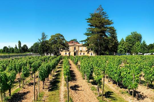 Najbolje vinske regije u Evropi