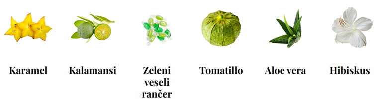 Sauvignon Blanc-kratki vodič