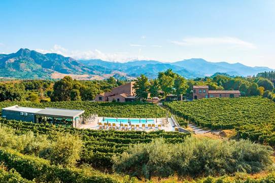 Najbolje vinske regije u Evropi