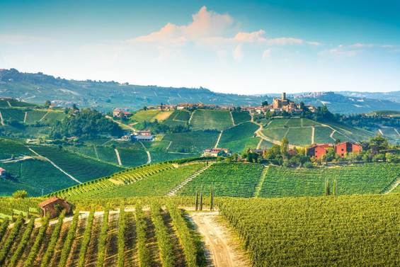 Najbolje vinske regije u Evropi