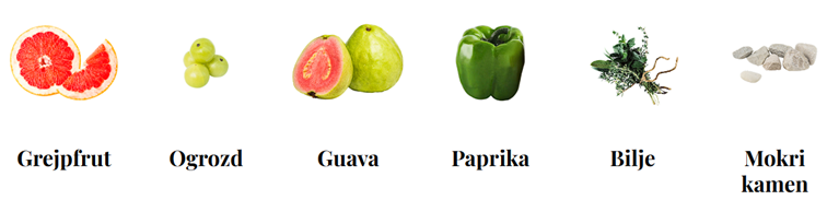 Sauvignon Blanc-kratki vodič