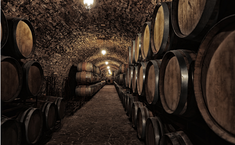 Kako pronaći vino koje nam odgovara