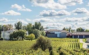 Ultrazvučno čišćenje eliminiše 100% bakterija