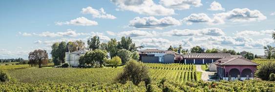 Ultrazvučno čišćenje eliminiše 100% bakterija