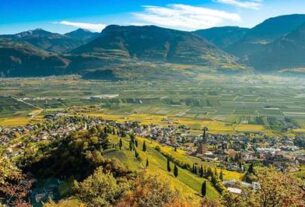 Enografija i geografija vina