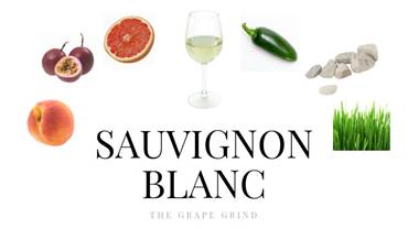 Sauvignon Blanc-kratki vodič