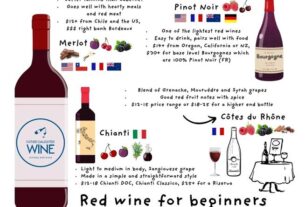Šta je dobro vino za početnike