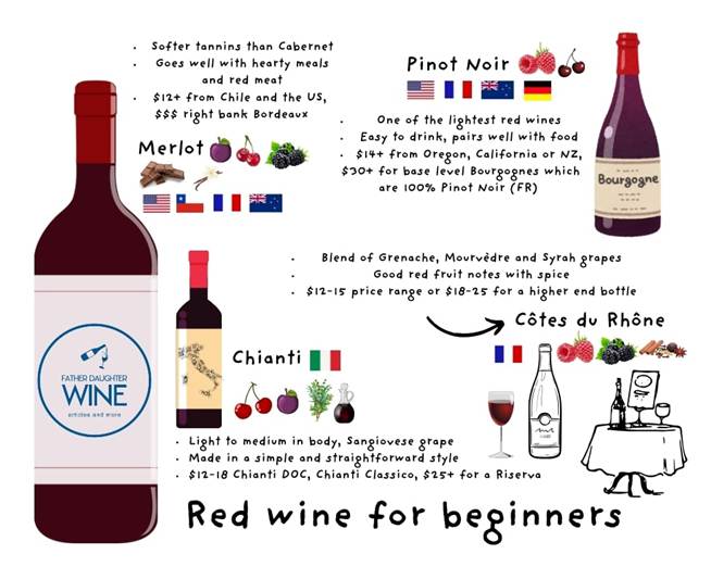 Šta je dobro vino za početnike