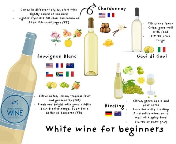 Šta je dobro vino za početnike