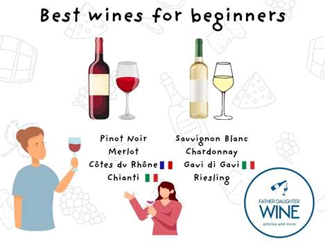 Šta je dobro vino za početnike