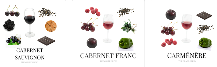 Merlot-kratki vodič