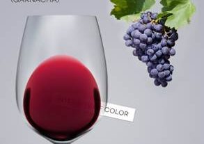 Crvena vina koja odležavaju u hrastovim bačvama