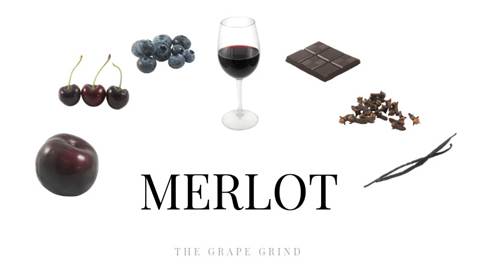 Merlot-kratki vodič