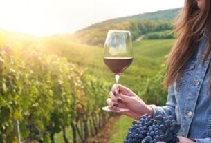 Četiri načina razmišljanja o vinu