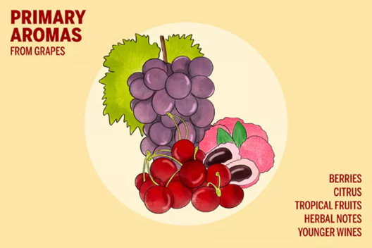 Tajna kako da osjetite miris vina