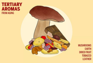 Tajna kako da osjetite miris vina