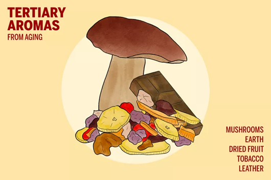 Tajna kako da osjetite miris vina