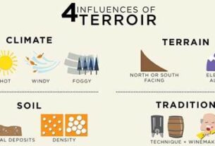 Varljiva dilema tehnologije naspram terroira