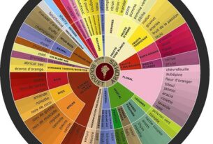 Bilješke sa degustacije