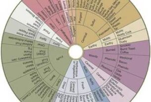 Kako napisati bilješke o degustaciji vina