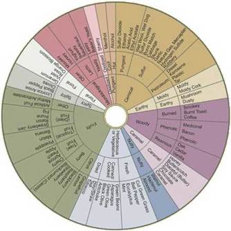 Kako napisati bilješke o degustaciji vina