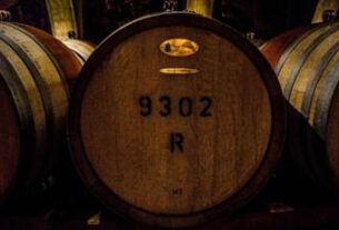 Opis crvenih vina za početnike