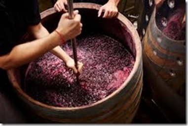 Varljiva dilema tehnologije naspram terroira