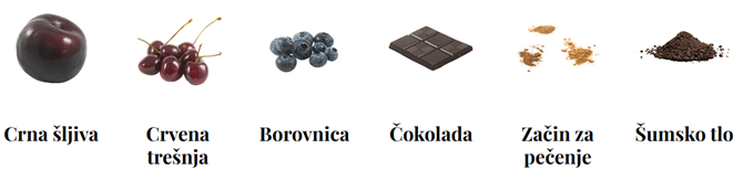 Merlot-kratki vodič