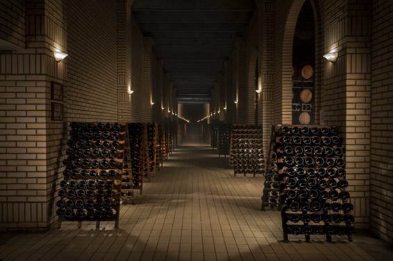 Dobrodošli u brazilsku dolinu vinograda