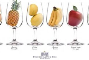 O sintetičkoj prirodi degustacije vina