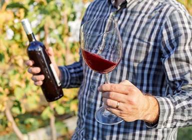 Prednosti ovlaživanja vazduha u vinskim podrumima