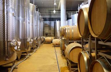 Prednosti ovlaživanja vazduha u vinskim podrumima